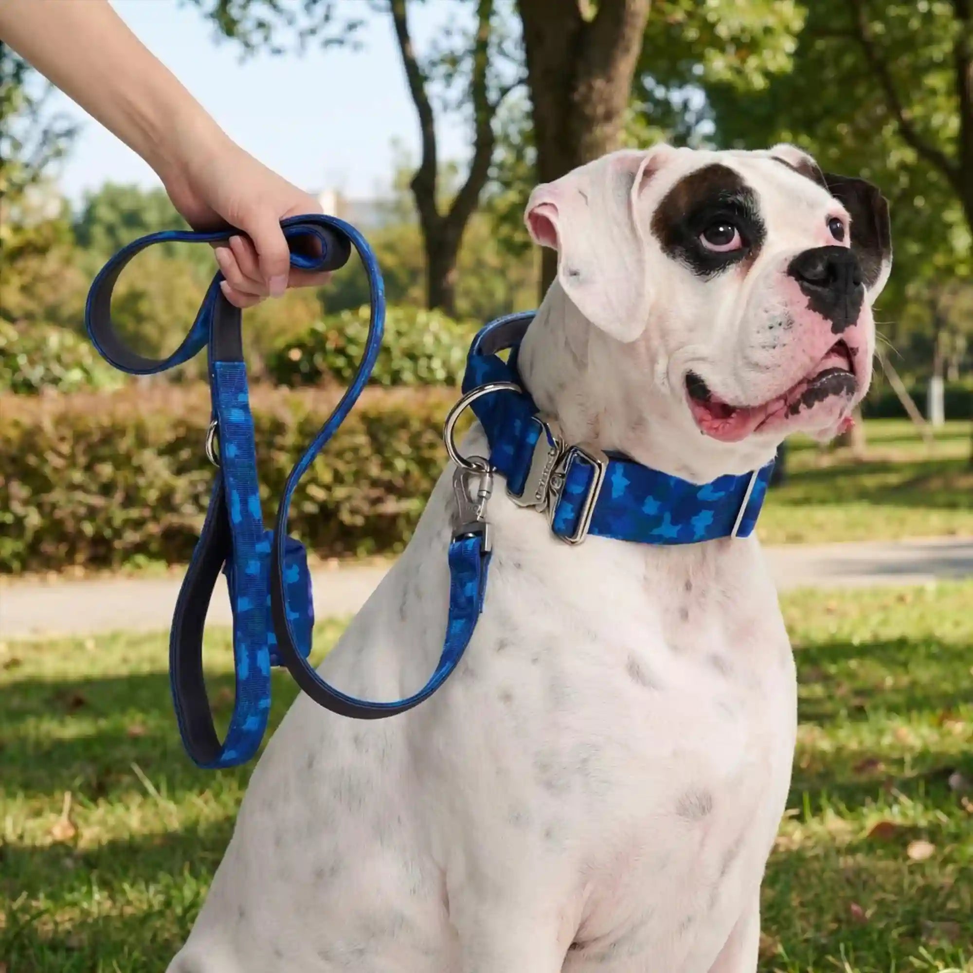 Comfort Control Collar Set - Blue Camo