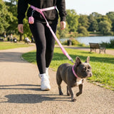 Martingale Collar and Multipurpose Leash Sets