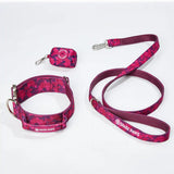 Comfort Control Dog Collar Sets