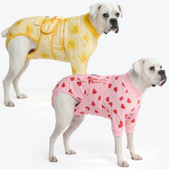Dog Surgical Suit  2-pack