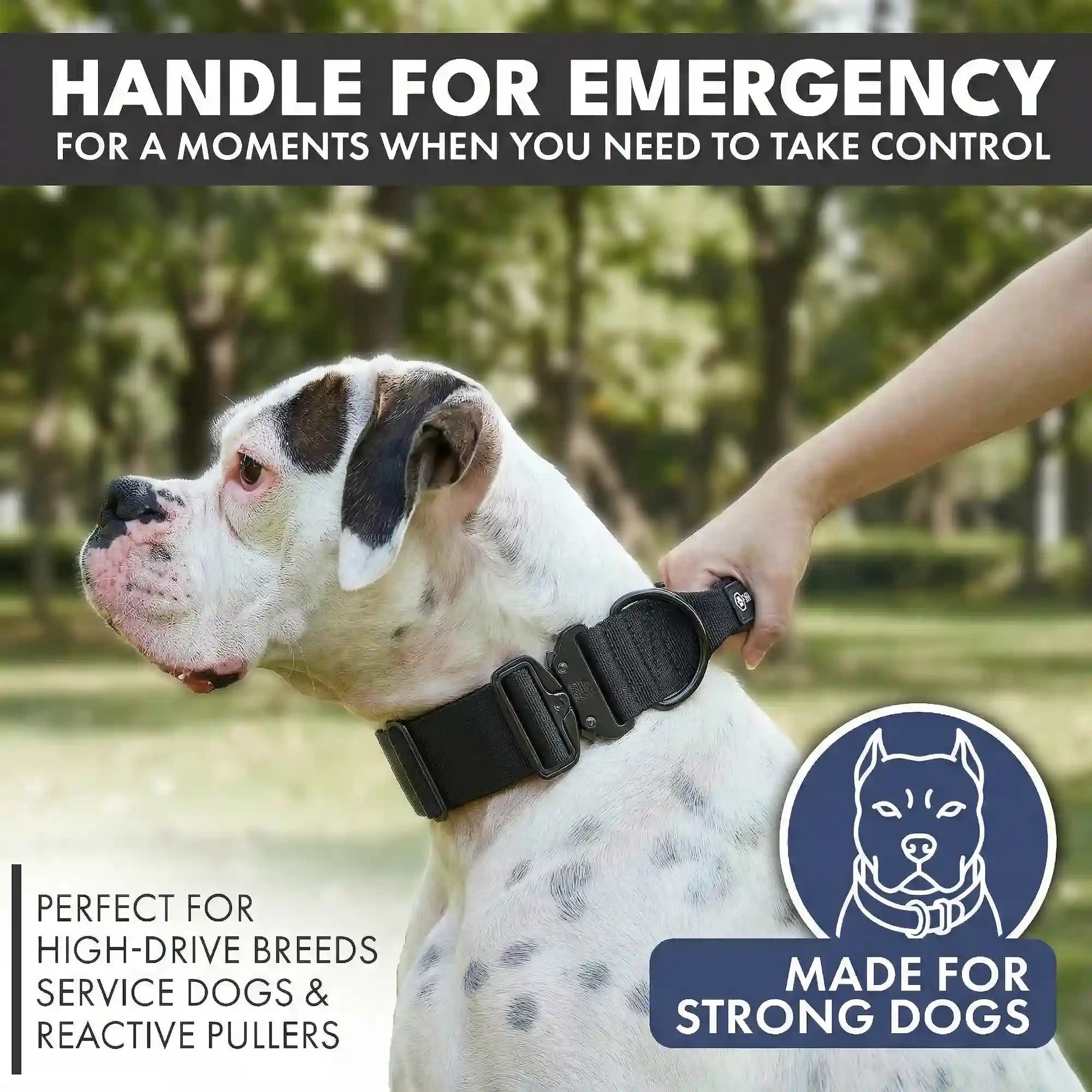 Comfort Control Collar Set - Black