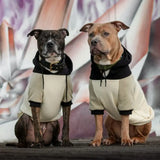 Olive Cream Dog Hoodie