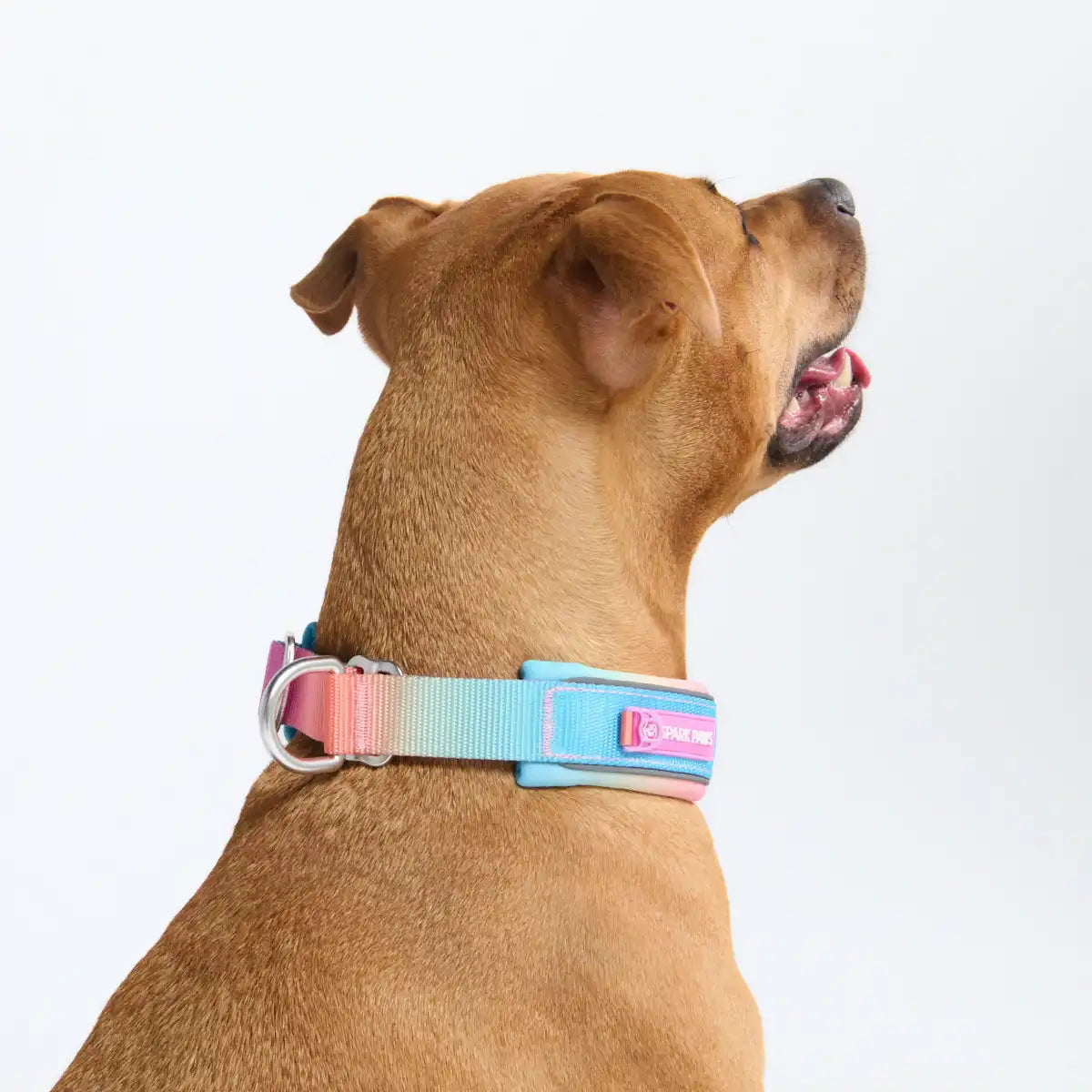 Cushioned Martingale Collar - Pastel Icing