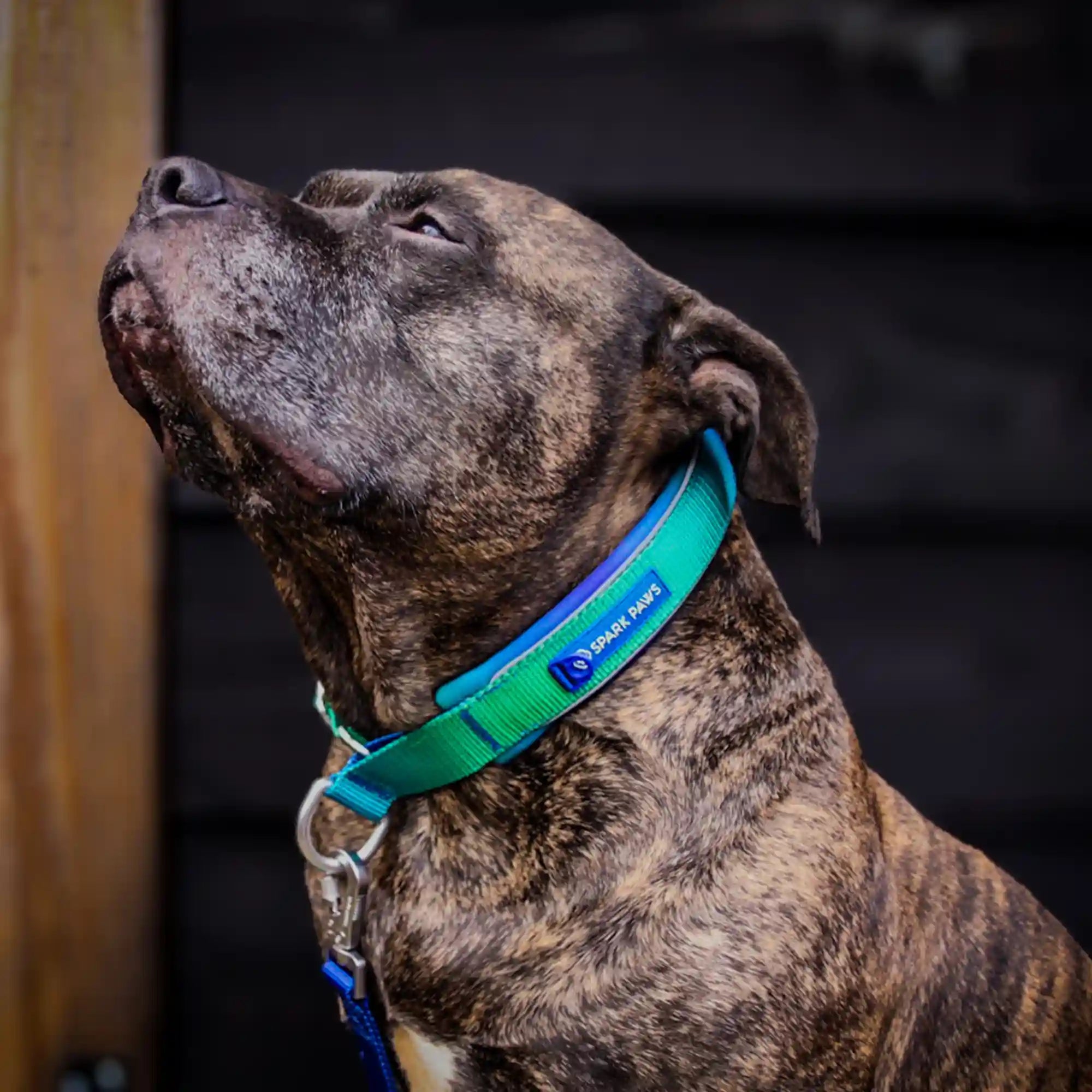 Martingale Collar Sets