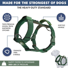 Comfort Control No-Pull Dog Harness - Green