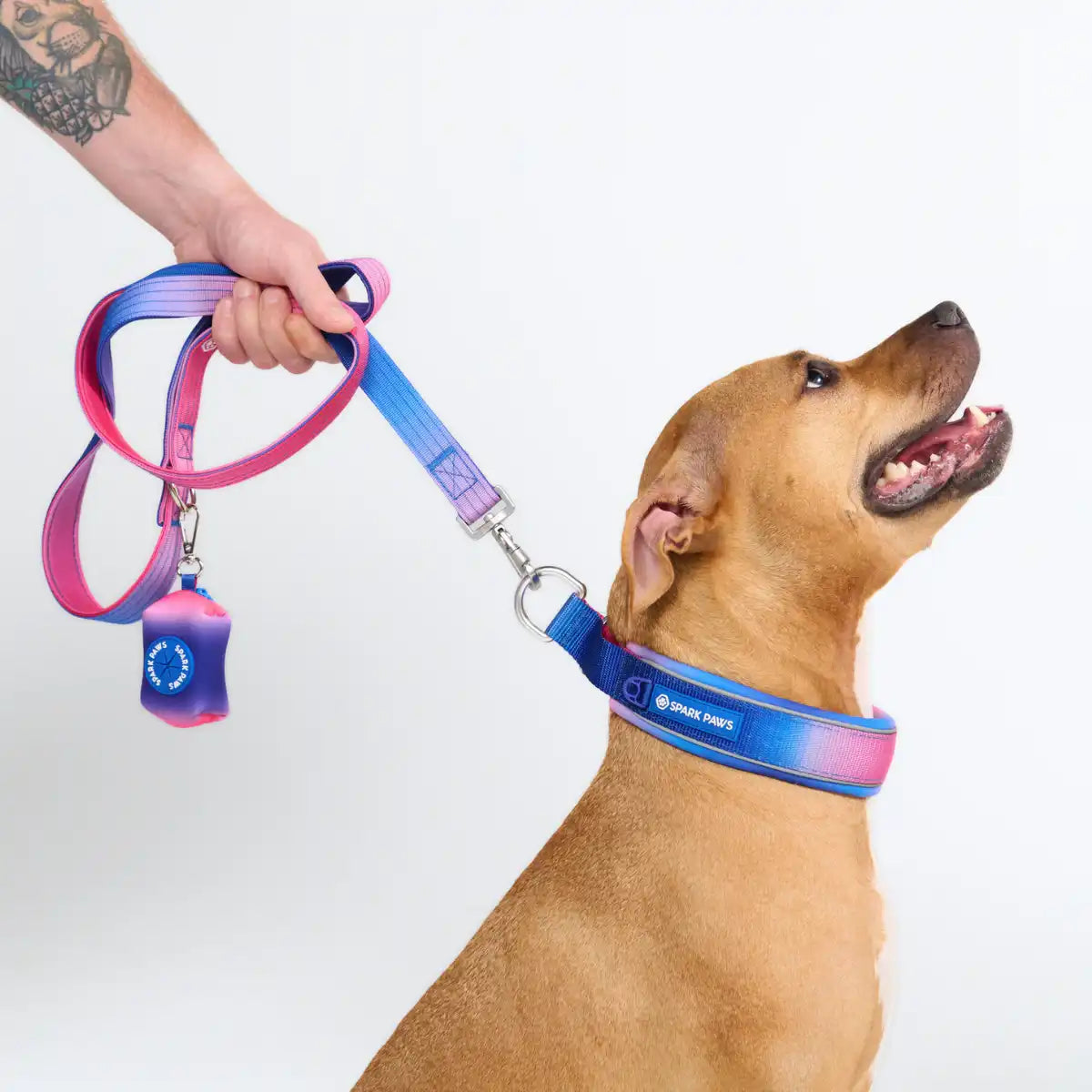 Cushioned Martingale Collar - Snow Cone
