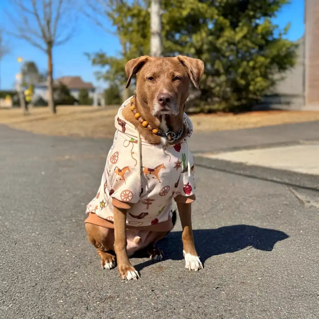 Dog Hoodie Prints
