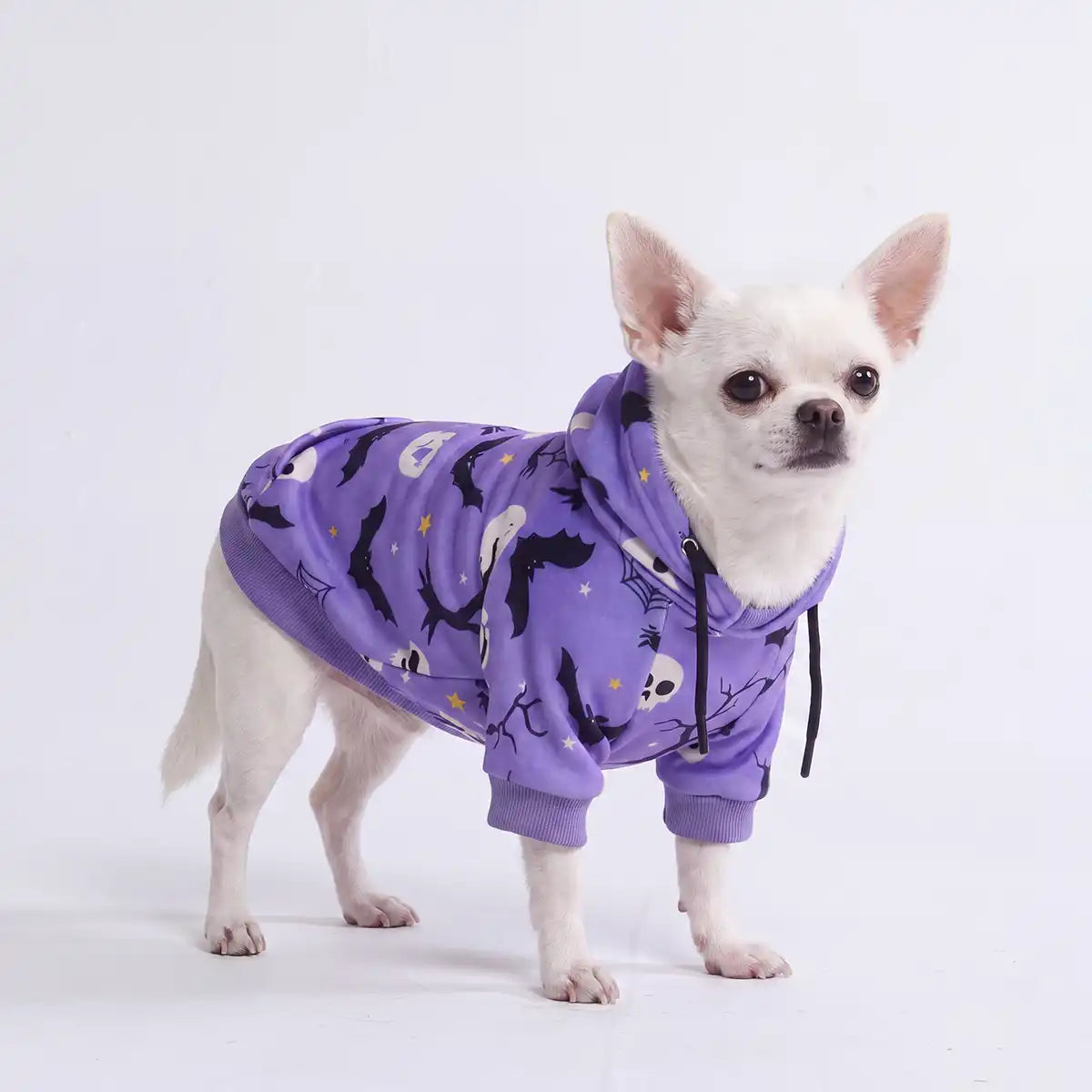 Halloween Dog Hoodie - Purple
