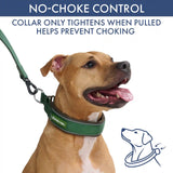 Martingale Collar Sets