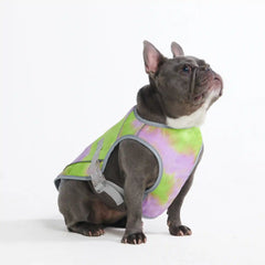Dog Cooling Vest - Neon Purple