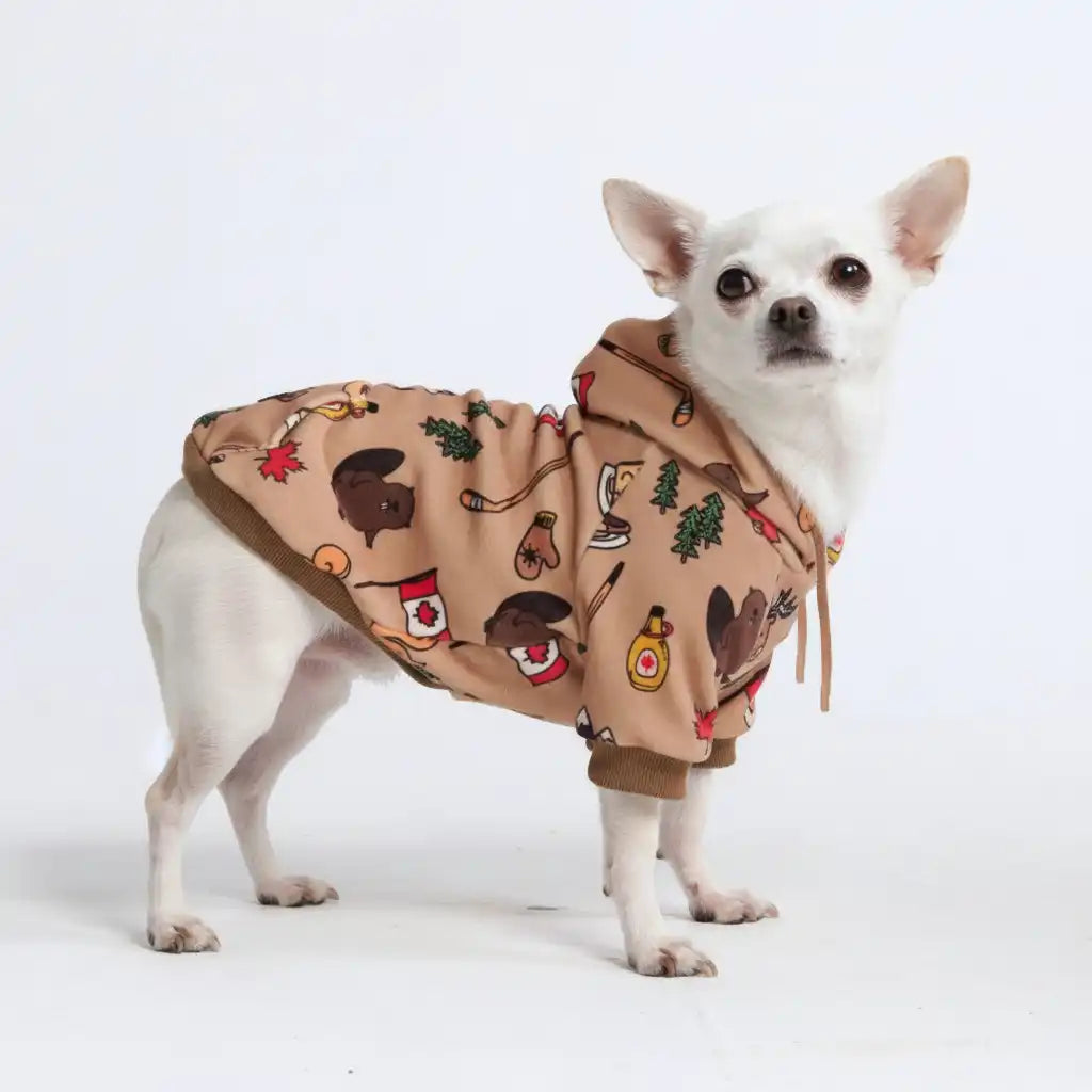Around the World Dog Hoodies