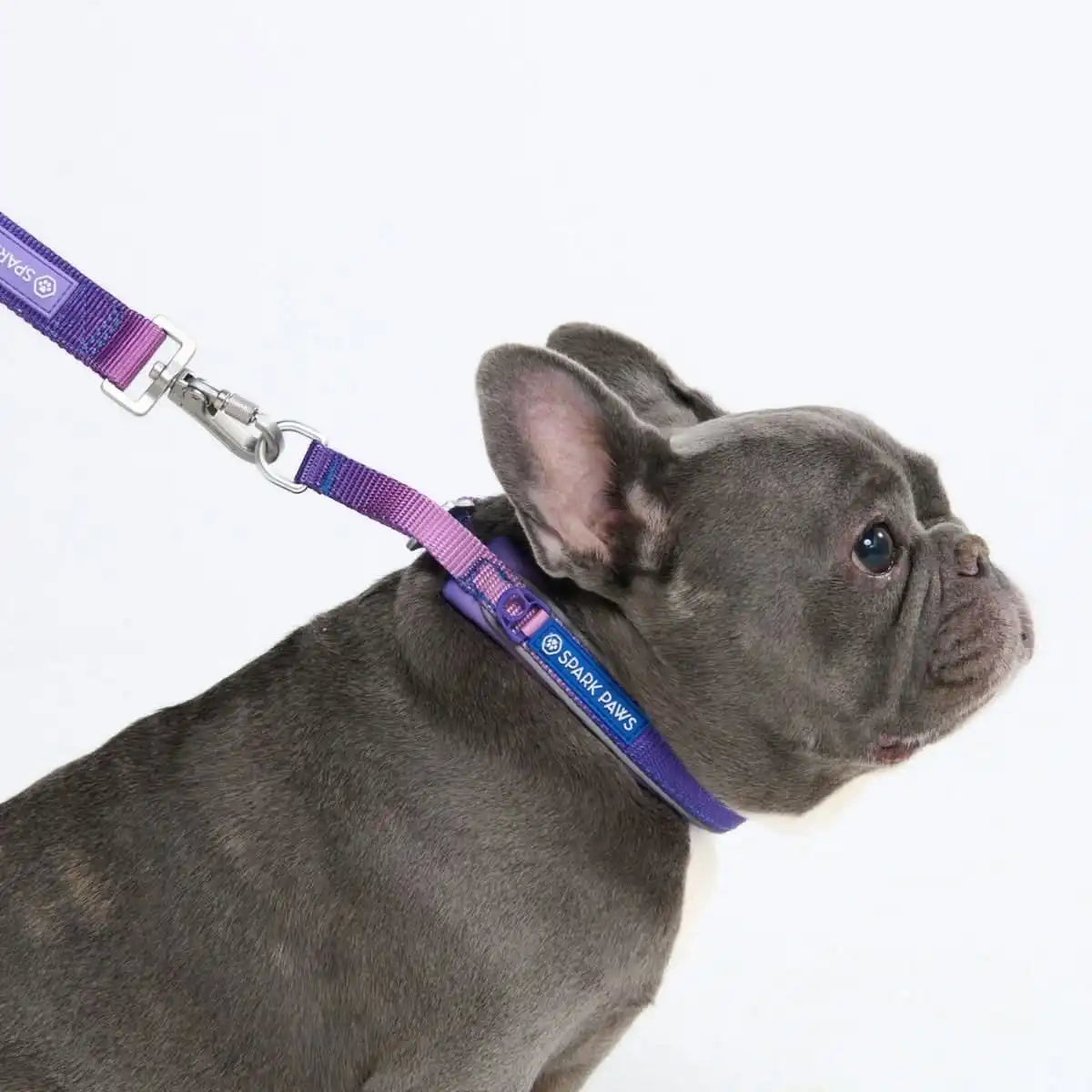 Cushioned Martingale Collar - 90s Retro