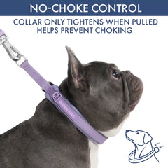 Martingale Collar Set - Lilac