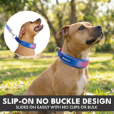 Martingale Collar and Multipurpose Leash Sets