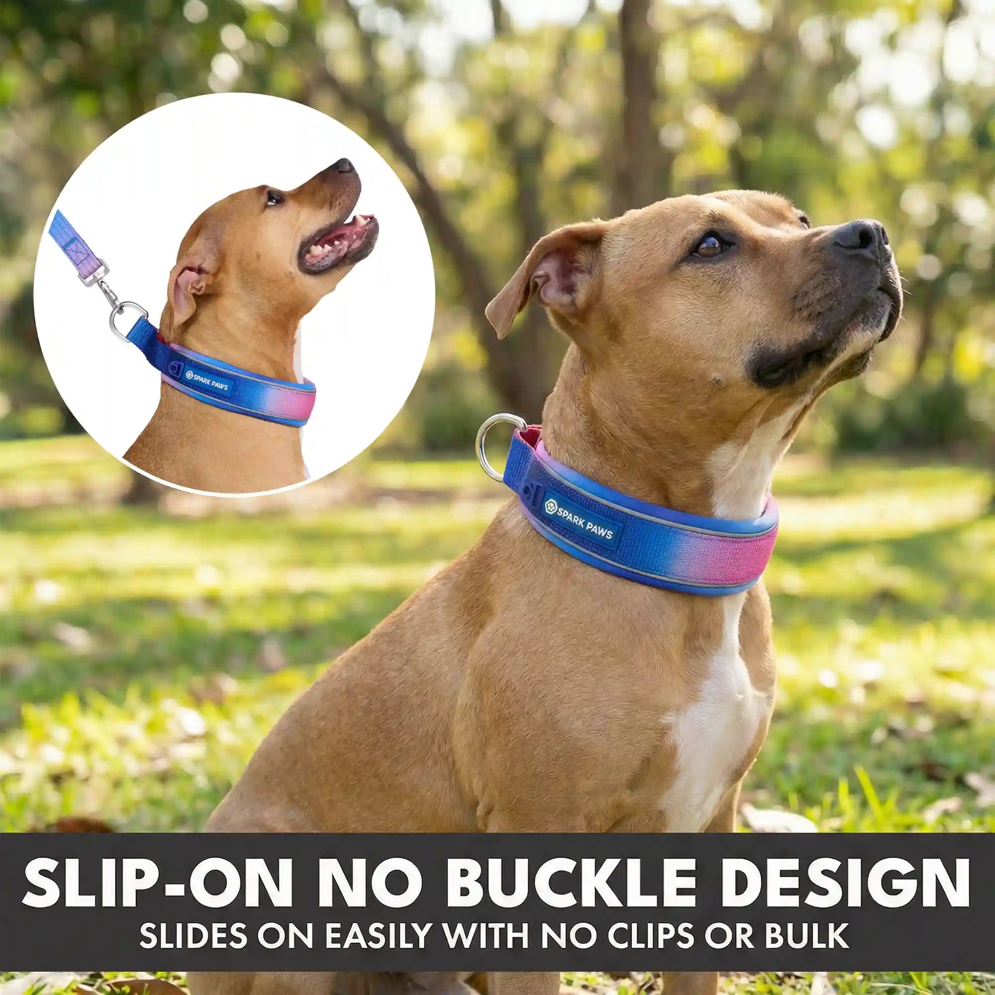 Martingale Collar and Multipurpose Leash Sets