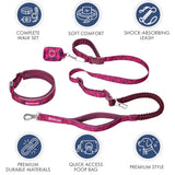 Martingale Collar and Multipurpose Leash Sets