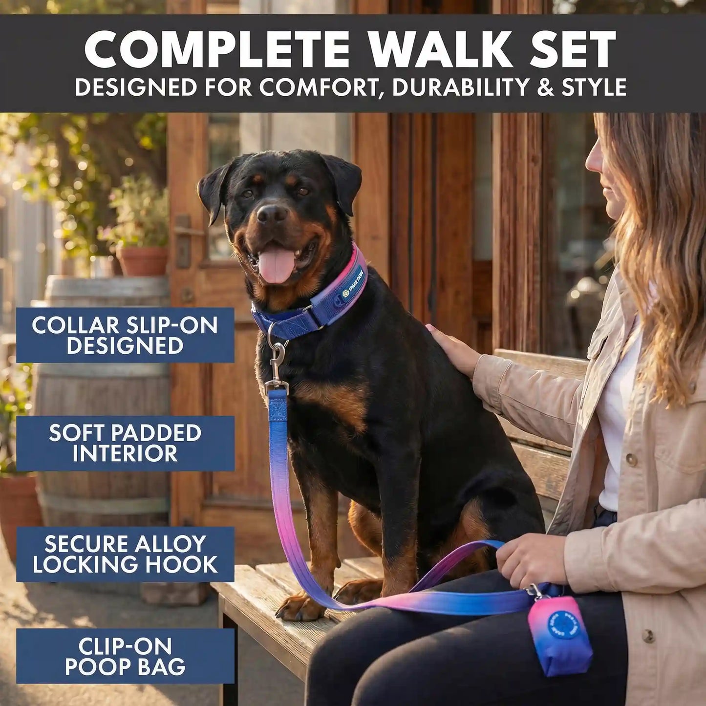 Martingale Collar Set - Snow Cone
