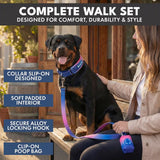 Martingale Collar Set - Snow Cone