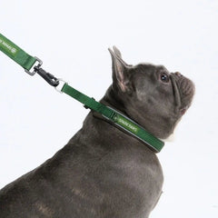 Cushioned Martingale Collar - Army Green