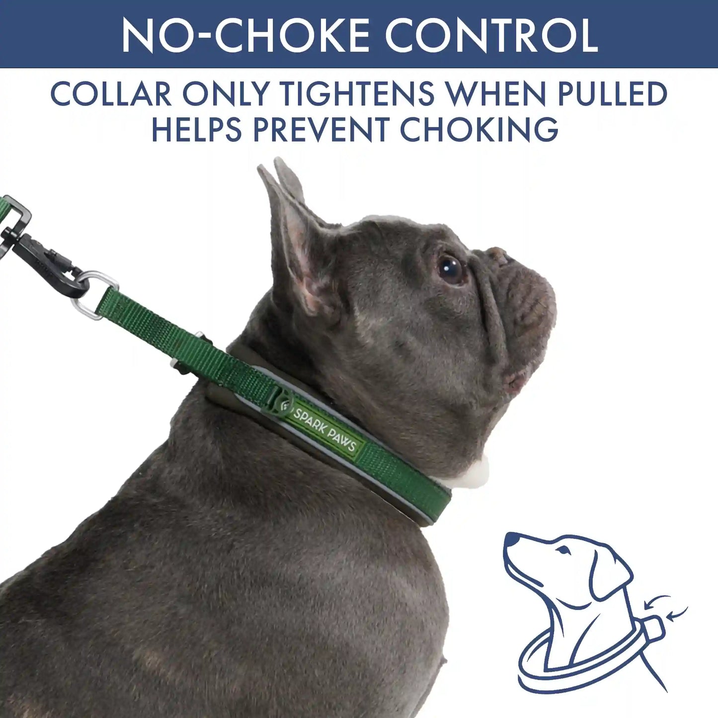 Martingale Collar and Multipurpose Leash Sets