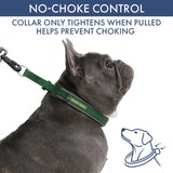 Martingale Collar and Multipurpose Leash Sets