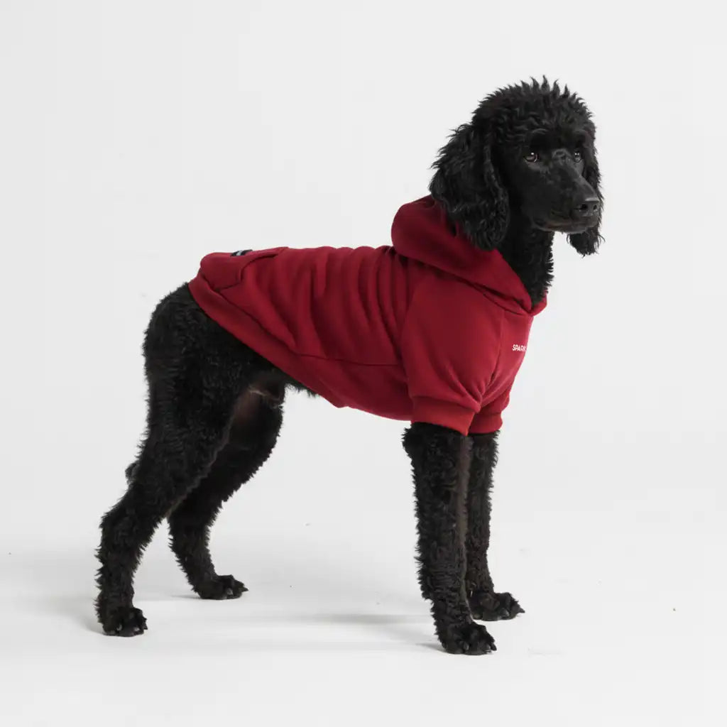 Essential Dog Hoodie - Burgundy