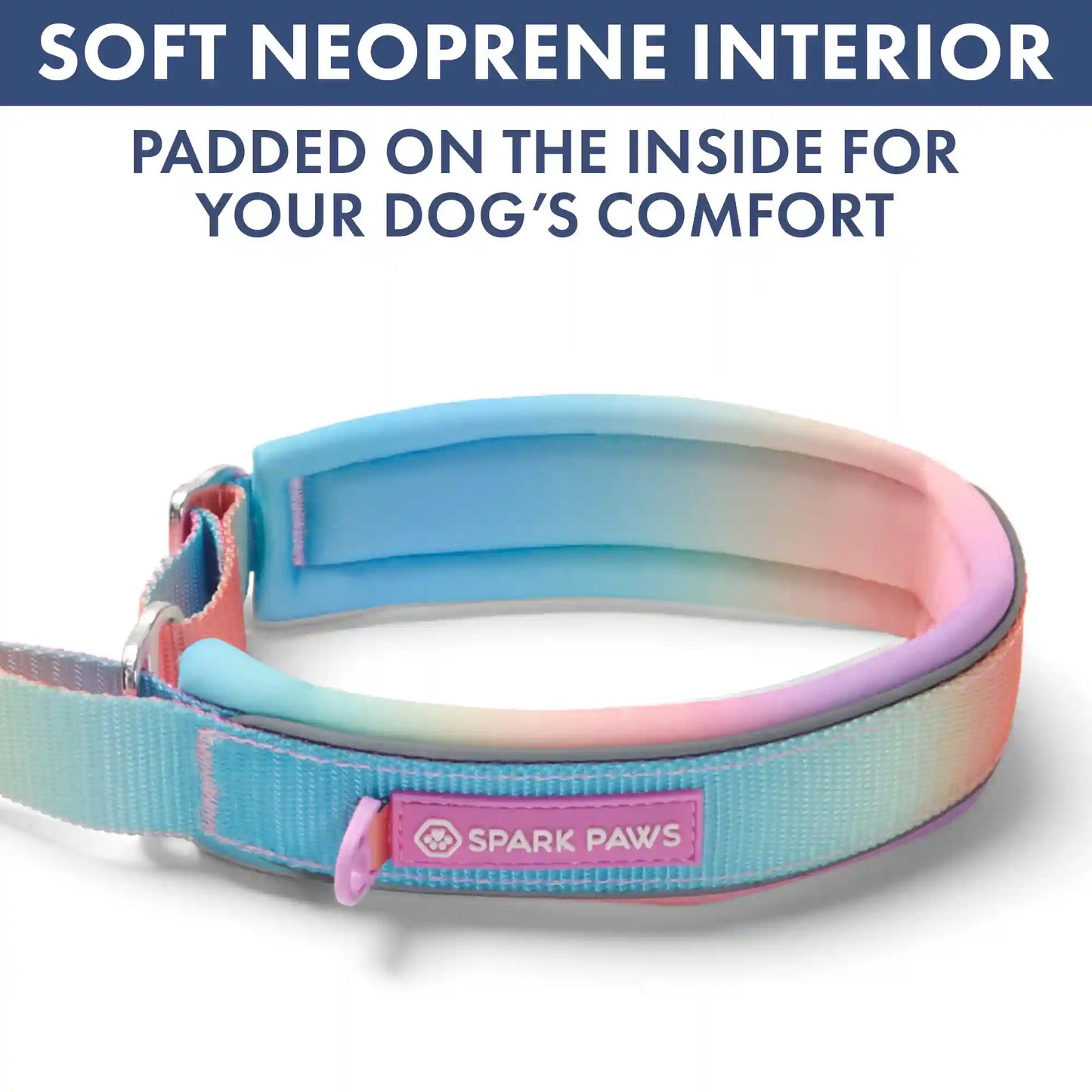 Martingale Collar and Multipurpose Leash Set - Pastel Icing