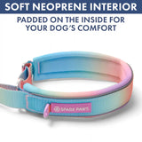 Martingale Collar and Multipurpose Leash Set - Pastel Icing