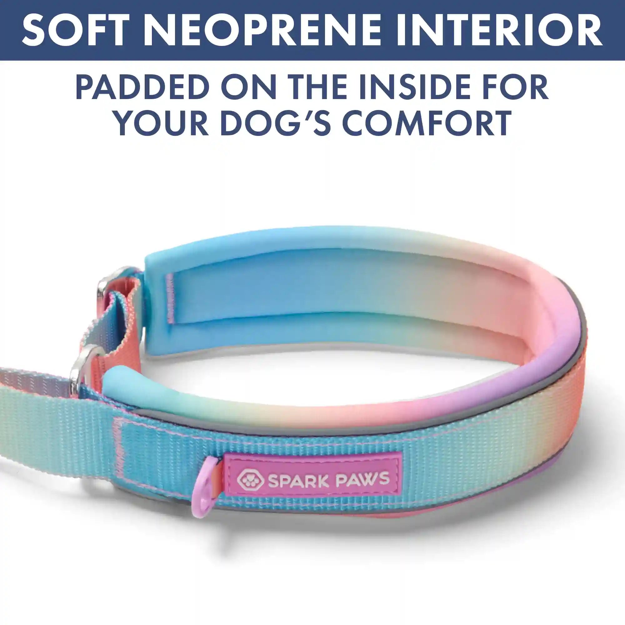 Martingale Collar and Multipurpose Leash Set - Pastel Icing