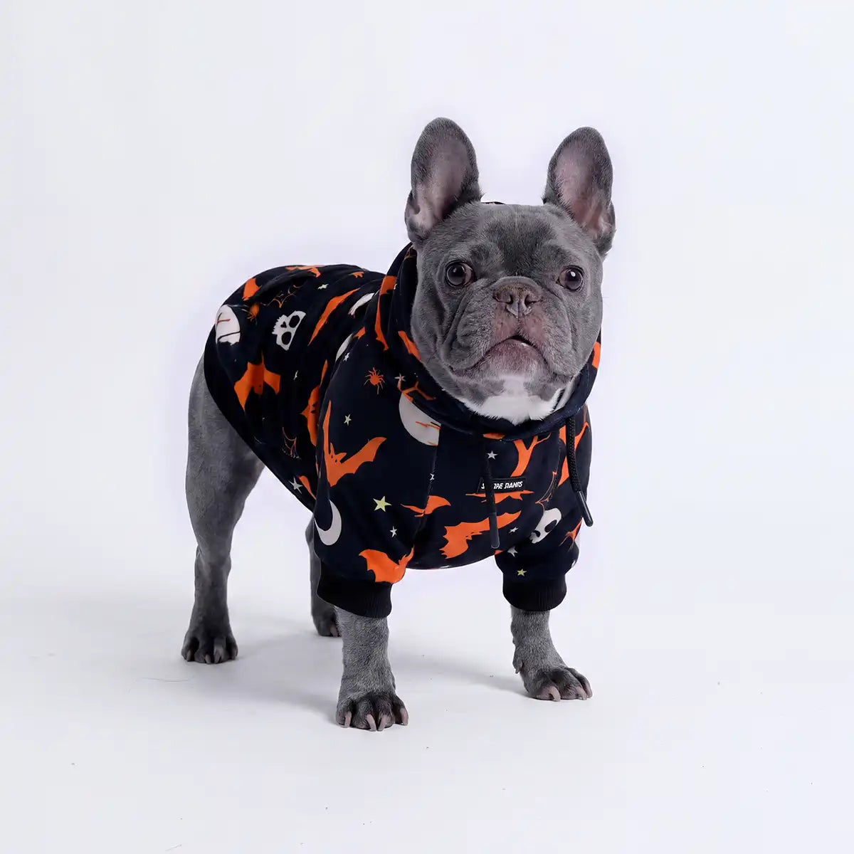 Halloween Dog Hoodie - Black