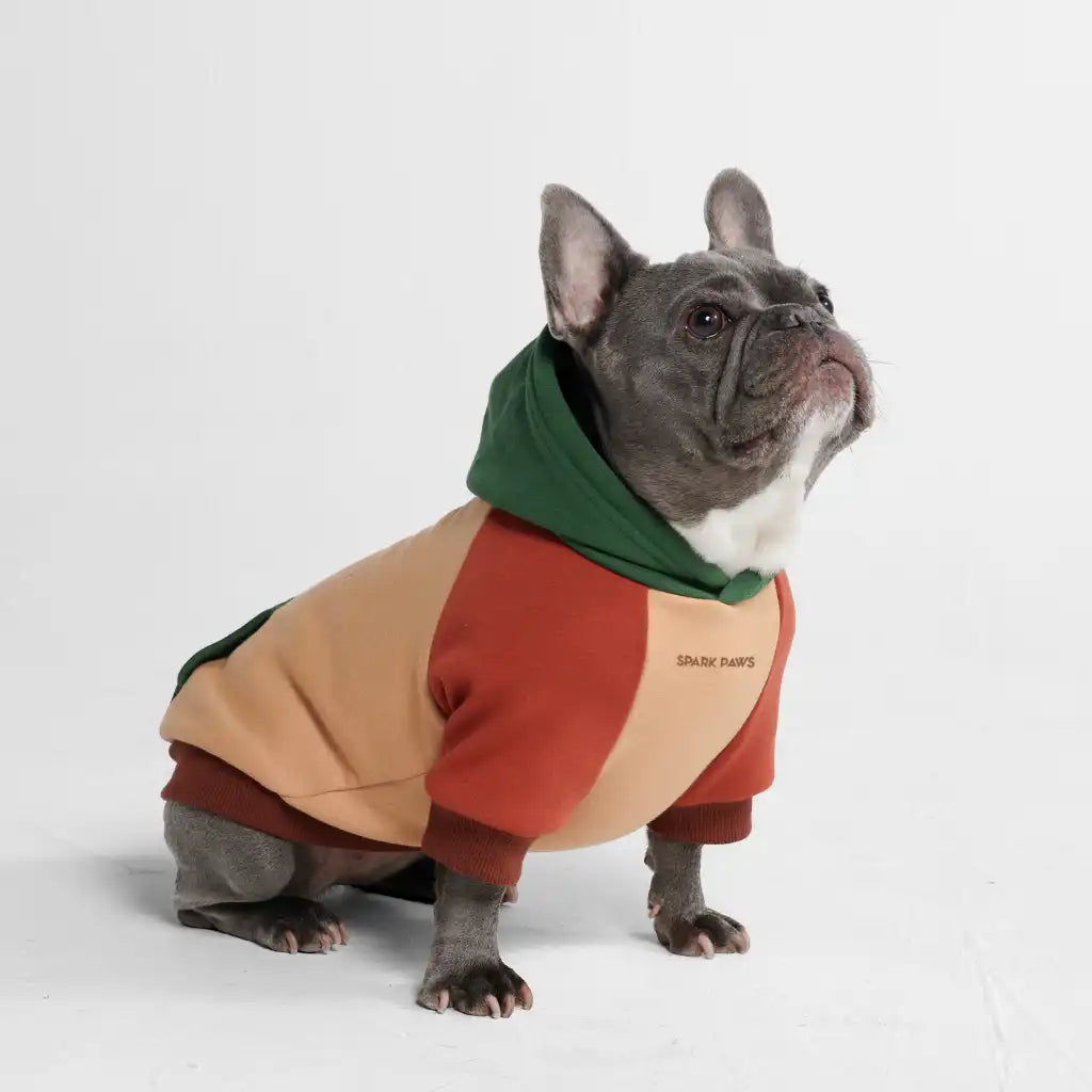 Ranger Dog Hoodie