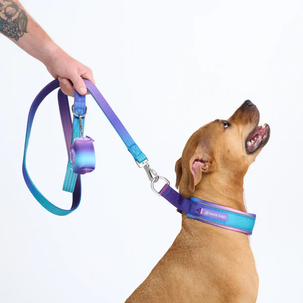 Cushioned Martingale Collar - 90s Retro