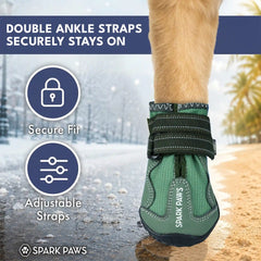 365 All-Season Dog Shoe 4PC Set - Green