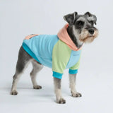 Jelly Bean Dog Hoodie