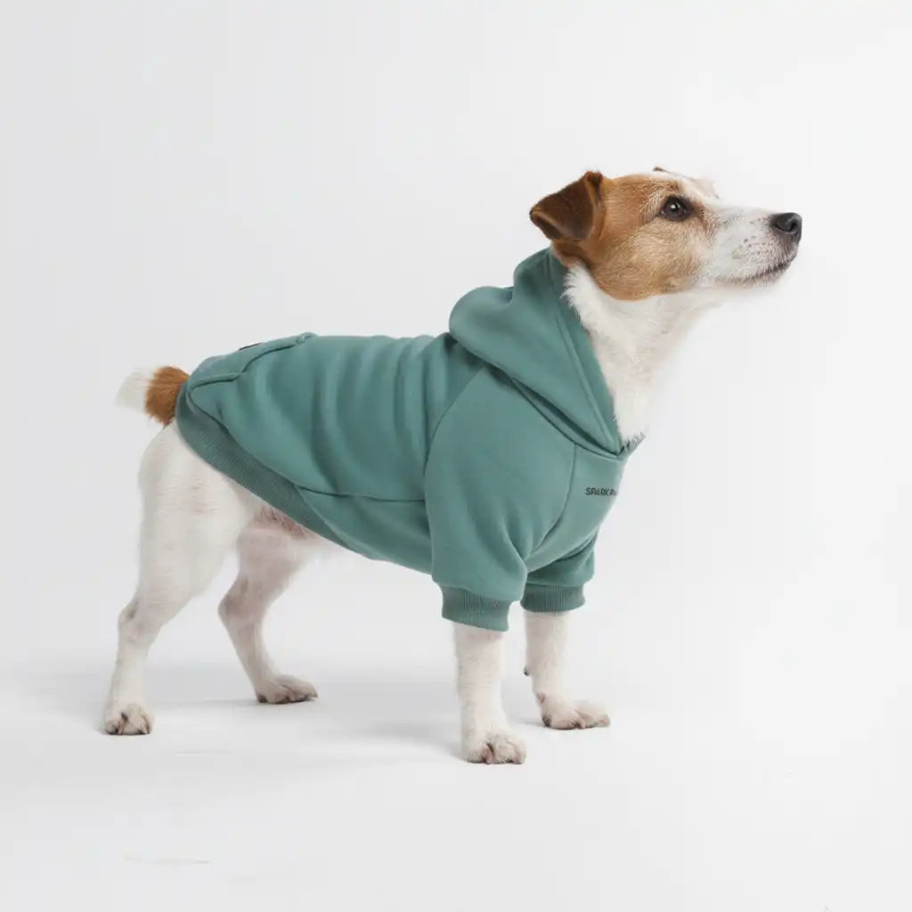 Essential Dog Hoodie - Teal