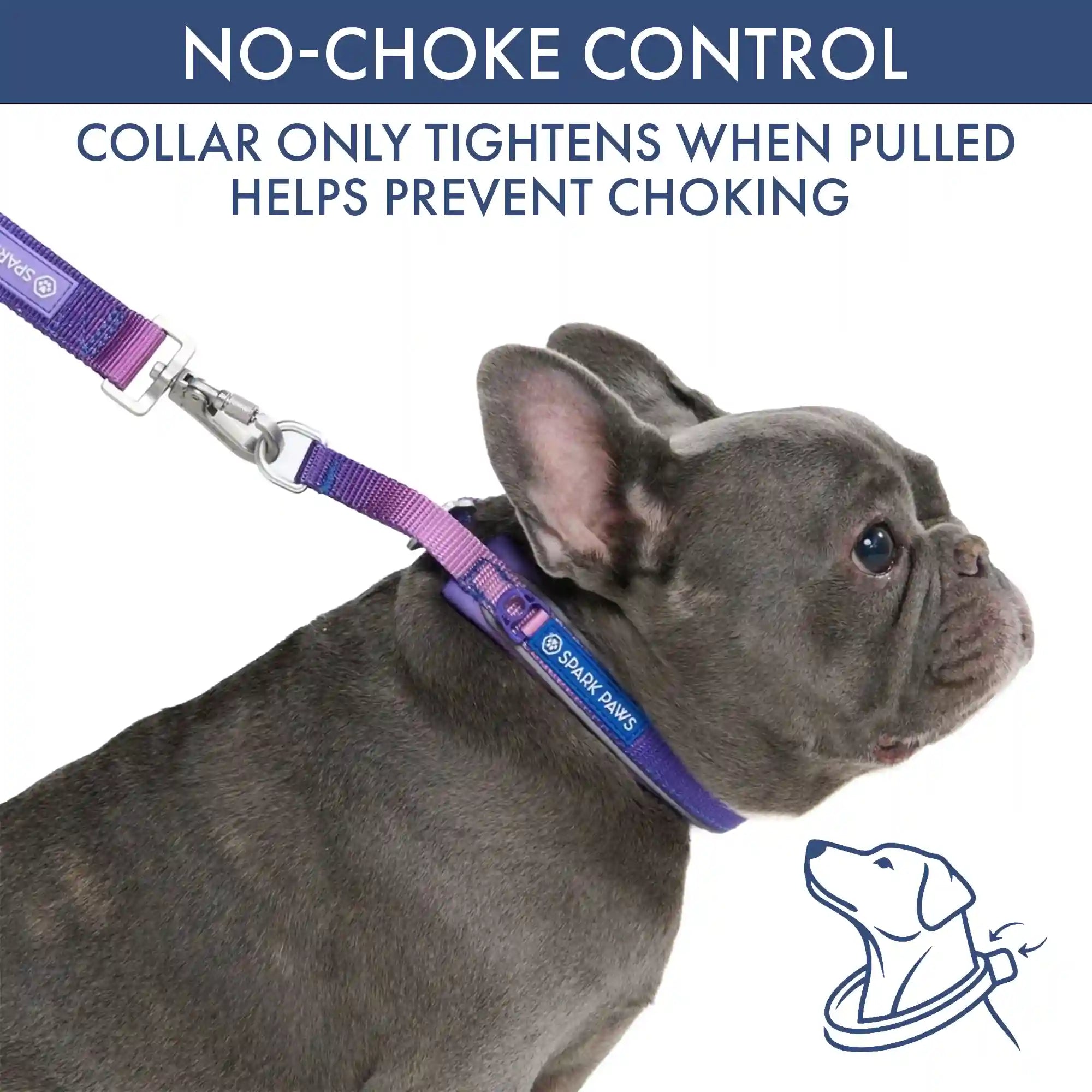 Martingale Collar and Multipurpose Leash Sets