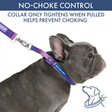 Martingale Collar and Multipurpose Leash Set - 90s Retro
