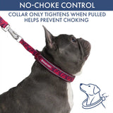 Martingale Collar Sets