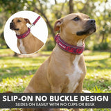 Martingale Collar Sets