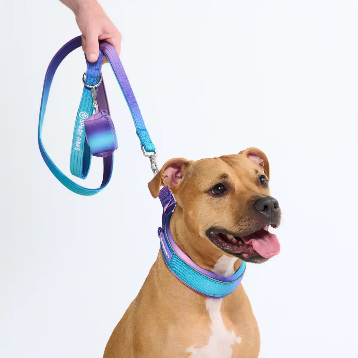 Cushioned Martingale Collar - 90s Retro