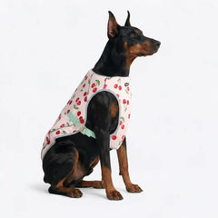 Dog Cooling Vest - Cherries