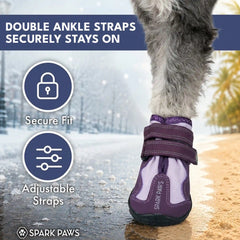 365 All-Season Dog Shoe 4PC Set - Purple