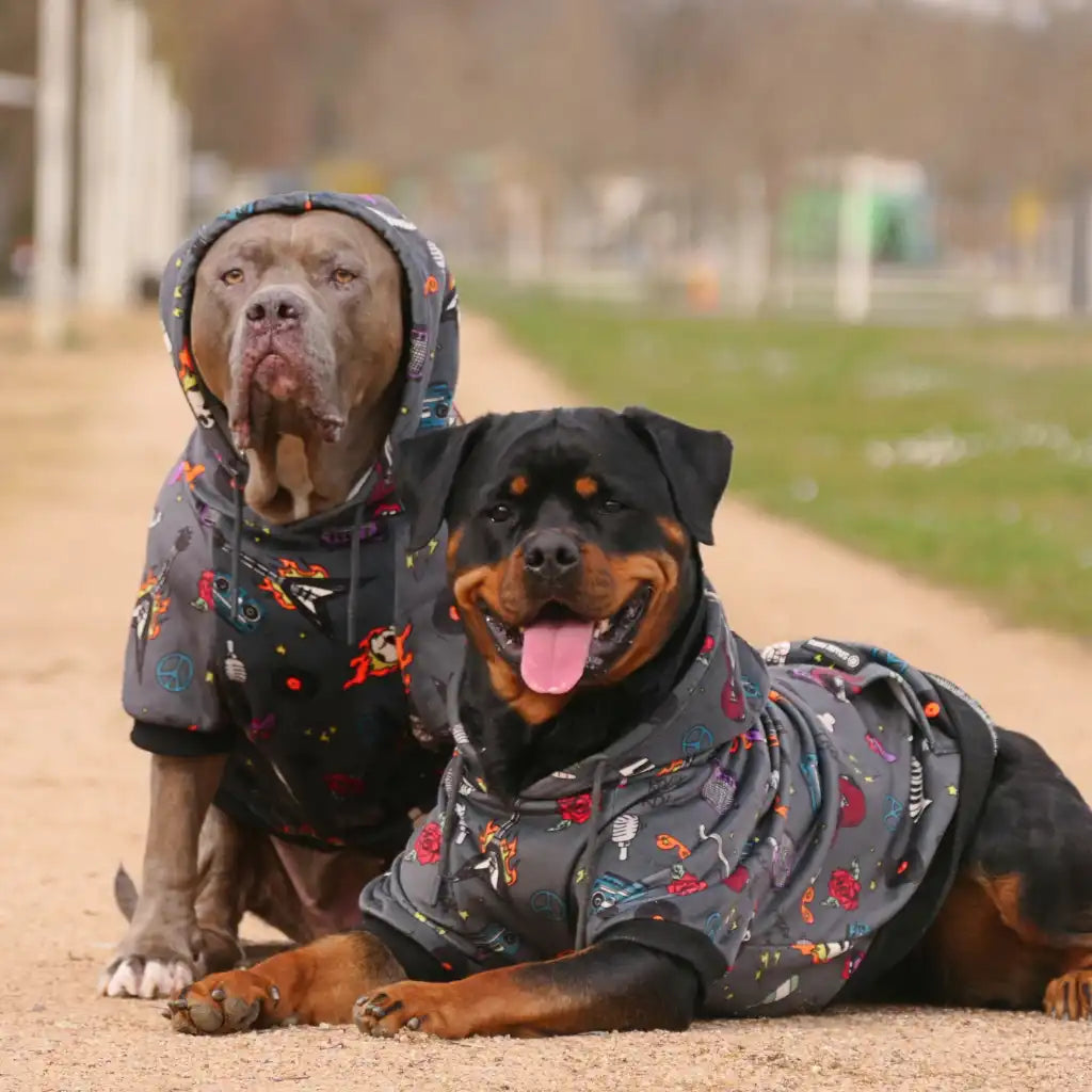 Rock and Roll Dog Hoodie