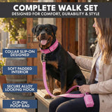 Martingale Collar Set - Pink