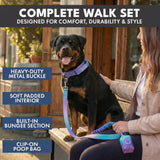 Comfort Control Collar and Multipurpose Leash Set - 90s Retro