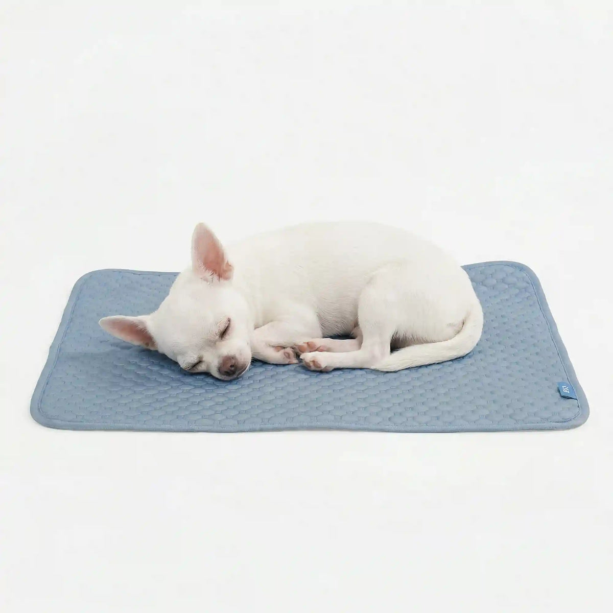 Frostcore™ Cooling Mat - Ash Blue (2)