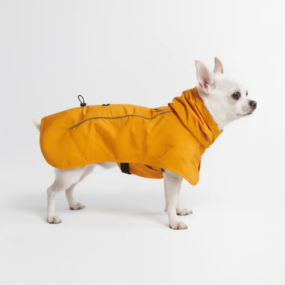 Breatheshield™ Dog Raincoats