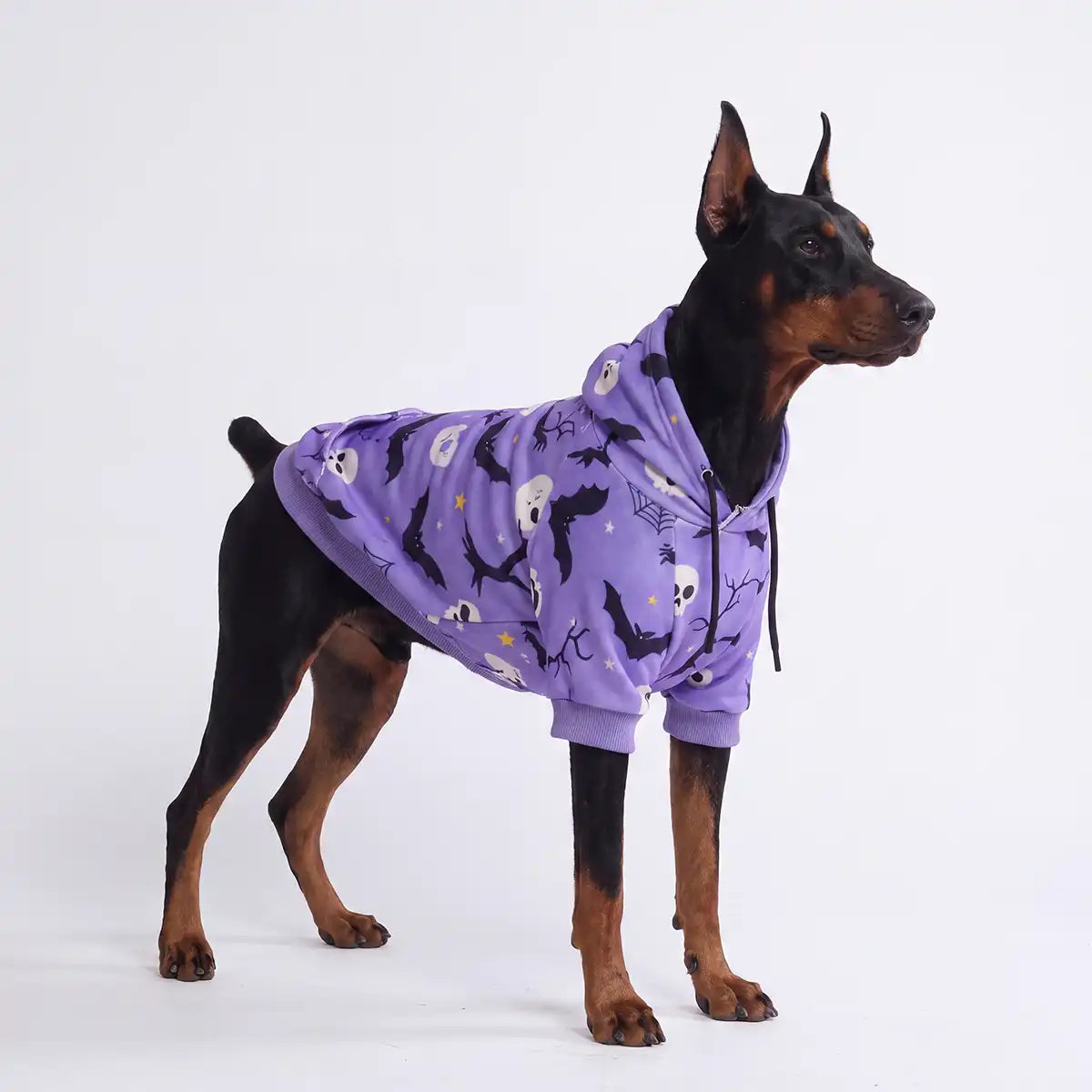 Halloween Dog Hoodie - Purple