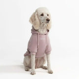 Essential Dog Hoodie - Purple Taupe