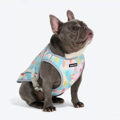 Dog Cooling Vest - Popsicles
